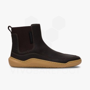 Dámské Lifestyle Boty Vivobarefoot Gobi Chelsea Černé | CZ Q1895M