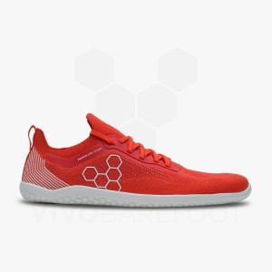 Dámské Silniční Běžecké Boty Vivobarefoot Primus Lite Knit Červené | CZ A1833H