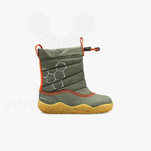 Dětské Obuv Vivobarefoot Lumi FG Batolata Zelene | CZ G2011S