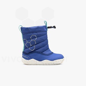 Dětské Obuv Vivobarefoot Lumi X Arctic Angels Batolata Blankyt | CZ C2030T