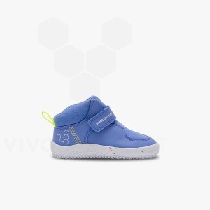 Dětské Obuv Vivobarefoot Primus Ludo Hi Batolata Blankyt | CZ A2015H