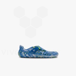 Dětské Obuv Vivobarefoot Ultra Bloom Preschool Blankyt Světle Tyrkysové | CZ W1998N