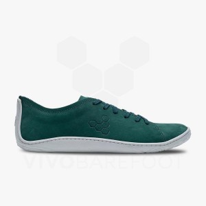 Pánské Lifestyle Boty Vivobarefoot Addis Zelene | CZ R1736V