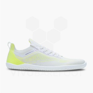 Pánské Silniční Běžecké Boty Vivobarefoot Primus Lite Knit Žluté | CZ Q1661M